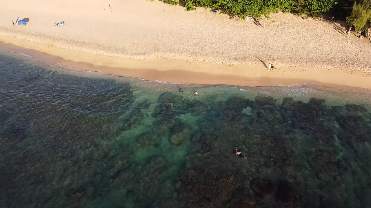 Plage et baigneurs dans une eau turquoise, vus du ciel